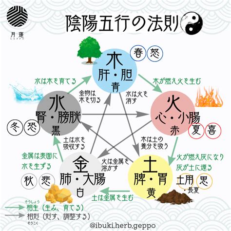 國家五行|【國家 五行】細數各國五行屬性！看移民去哪旺你整個人生？